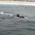 IMG0566JPG IMG0566JPG